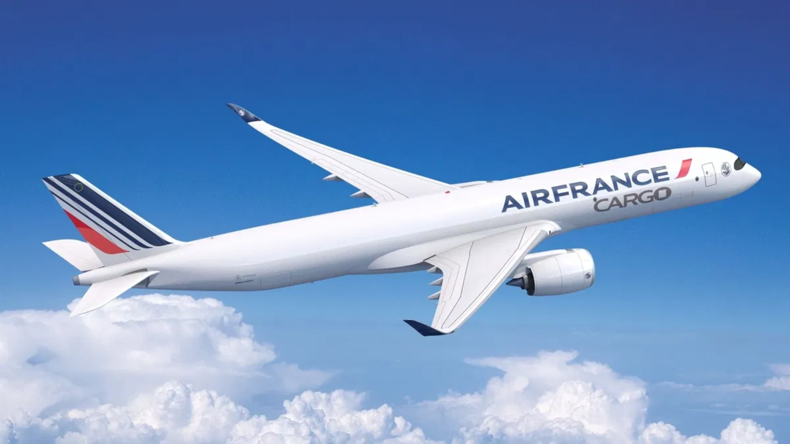 Air France Sandton Aircraft Photo